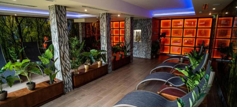 久洛健康家庭酒店(Wellness Hotel Gyula)图片