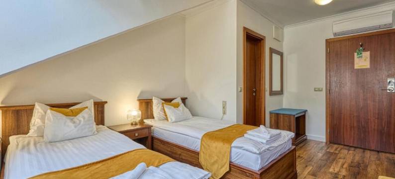 巴西亚纳酒店(Bassiana Hotel és Étterem)图片