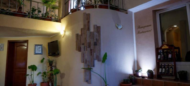 艾克森特酒店(Family Hotel Accent)图片