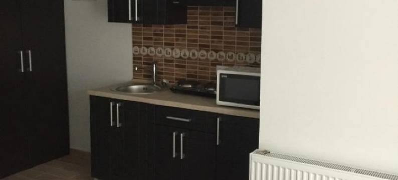 Mini-Hotel Megora图片