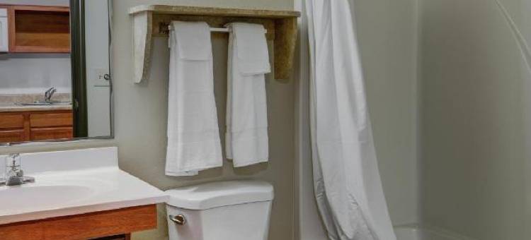 切萨皮克 - 诺福克南伍德斯普林套房酒店(WoodSpring Suites Chesapeake-Norfolk South)图片