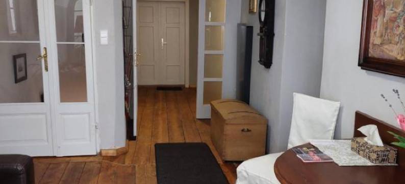 大卫膳食公寓酒店(Penzion David)图片