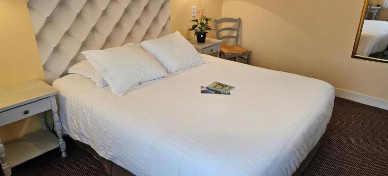 里约雷之家酒店(Logis Hôtel Restaurant l'Unique)图片