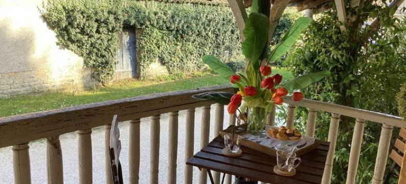 Phèdre en Saône图片