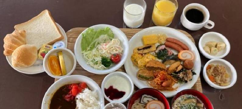 高冈Alpha-1酒店(Hotel Alpha-One Takaoka)图片