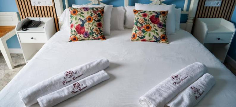 新帕尔克卡巴涅罗斯酒店(Nuevo Hotel Parque Cabaneros)图片