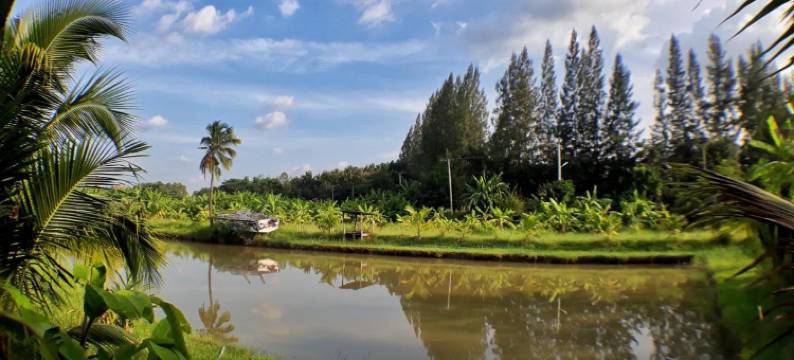 沙旺斯朗南开奥酒店(Sawan Srang Nang Kaew)图片