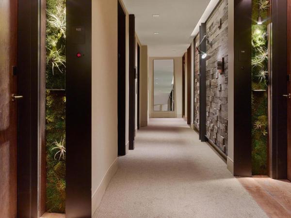 1 Hotel Central Park Over view