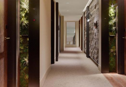 1 Hotel Central Park Hotel Overview