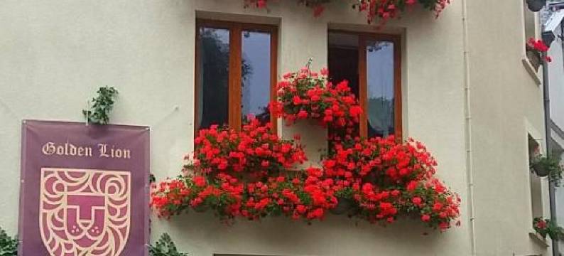 金狮住宿加早餐旅馆(Golden Lion)图片
