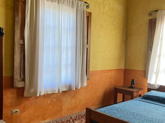 蓝鬣蜥青年旅社