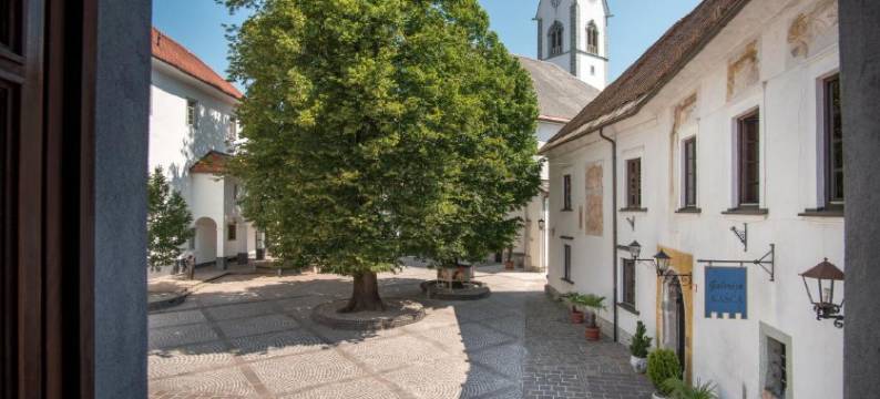 Vila Radolca公寓和房间(Vila Radolca Apartments & Rooms)图片