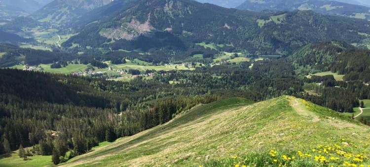 蒂罗尔山泉(Bergquell Tirol)图片