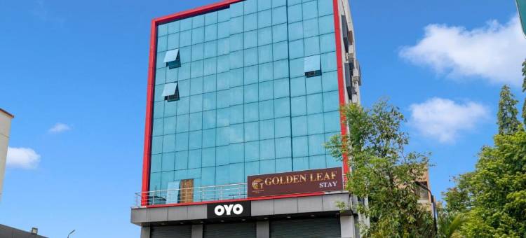 Super Collection O Golden Leaf图片
