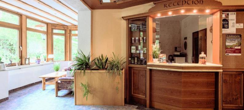 绍因斯兰酒店(Hotel Schauinsland)图片