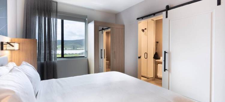 圣路易斯－奥比斯波SpringHill Suites酒店(SpringHill Suites By Marriott San Luis Obispo)图片