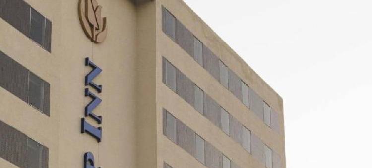 坎普斯戈伊塔卡济斯郁金香酒店(Tulip Inn Campos Dos Goytacazes)图片