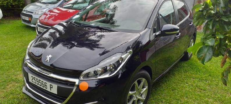 泰阿塔希蒂假日(Tea Tahiti Holidays)图片