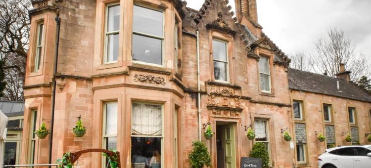 草地公园(The Meadowpark Bar, Kitchen & Rooms)图片