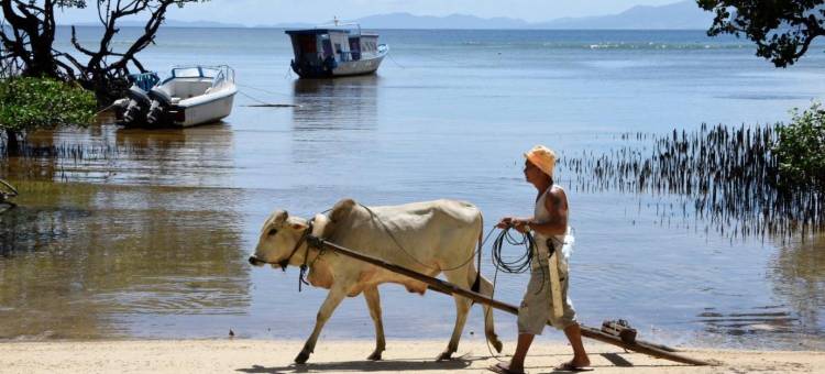 Nomad Divers Bangka图片