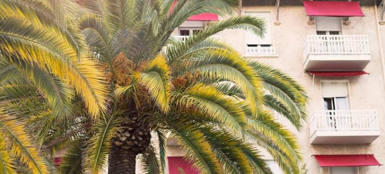 Grand Hotel des Lecques, BW Signature Collection图片