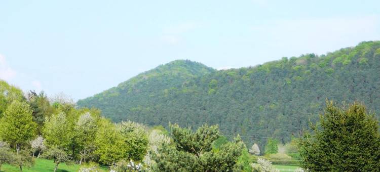 祖姆奥赫森酒店(Zum Ochsen)图片