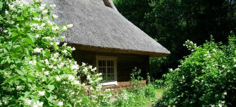 科特卡农场旅馆(Kotka Farm)图片