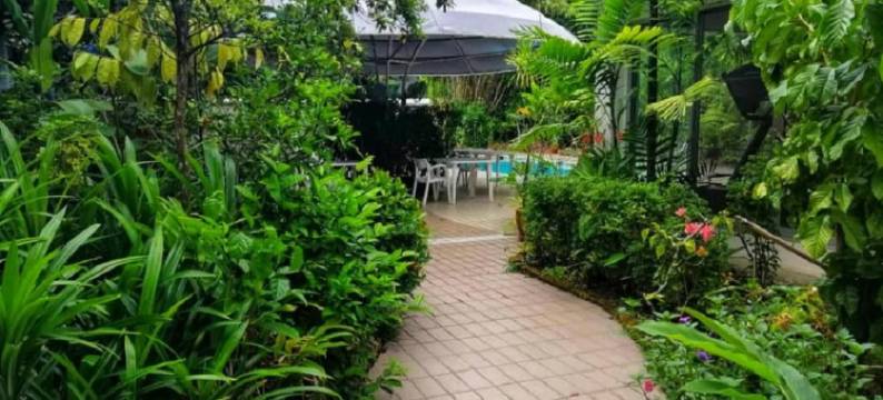 特雷斯酒店(Terrace Hotel)图片