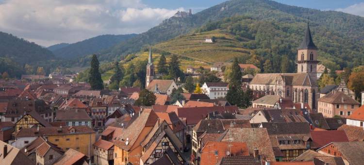 de la Tour 酒店(Logis Hôtel de la Tour)图片