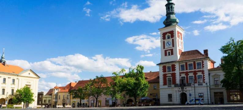 霍默斯拉尼旅馆(Penzion Homér Slaný)图片