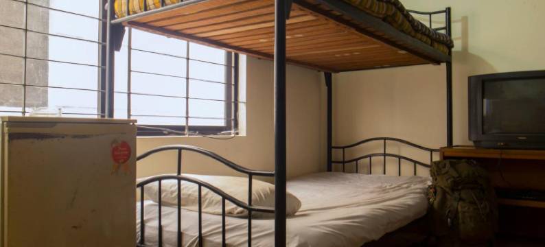 Japanese Lodge Hydrangea图片