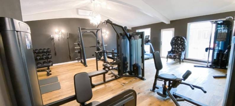 安提克城市酒店(Boutiquehotel Goldhahn Bio Sport & Wellness)图片