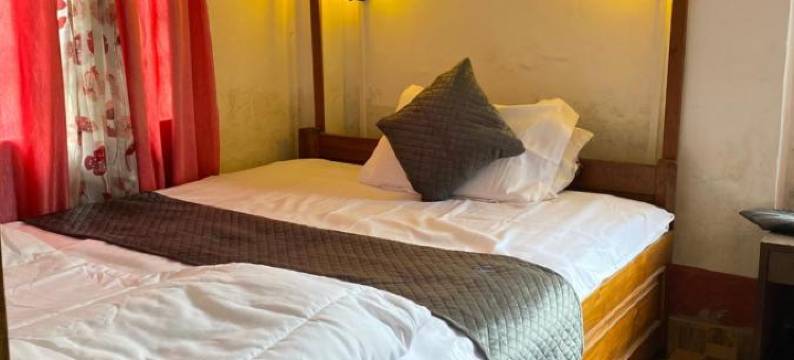 安纳普尔纳家庭旅馆(Annapurna Homestay)图片