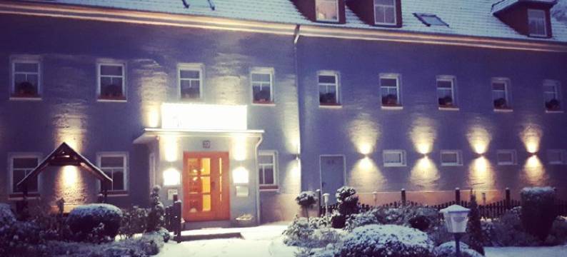 奥伯格古索夫酒店(Logis L Auberge Gutshof)图片