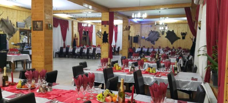 Pensiunea Dracula & Spa图片