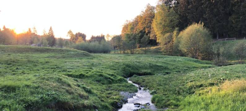 邮政酒店(Hotel Zur Post)图片