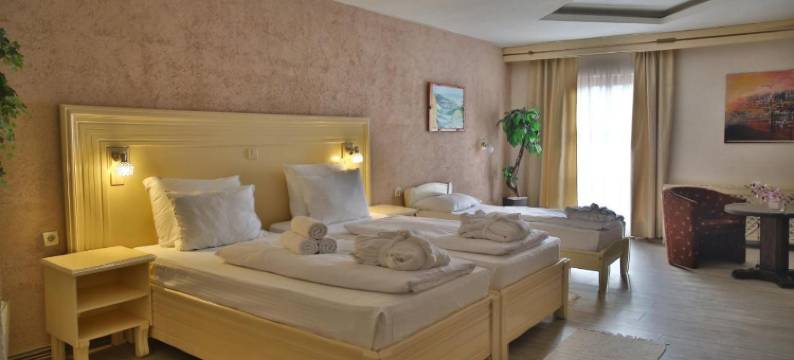 贝拉赛维克辛塔尔酒店(Hotel Centar Balasevic)图片