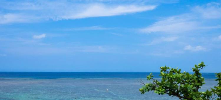 石垣民宿海夫(Ishigaki Guesthouse Hive)图片