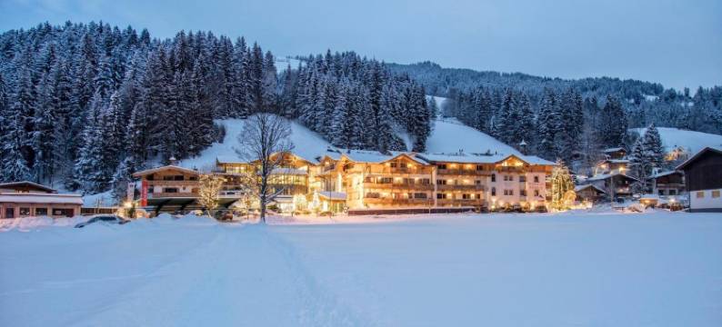 伊丽莎白高级酒店(Hotel Elisabeth, 4 Sterne Superior)图片