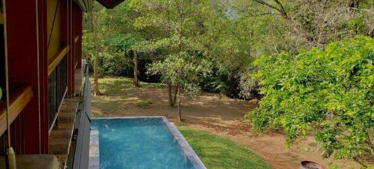 妙遇河居·丹布勒 | 奇遇系列(The River House Dambulla The Serendipity Collection)图片