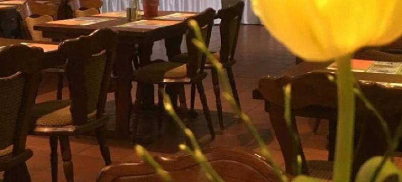 迪斯马尔赫尔豪斯酒店(Dithmarscher Haus)图片