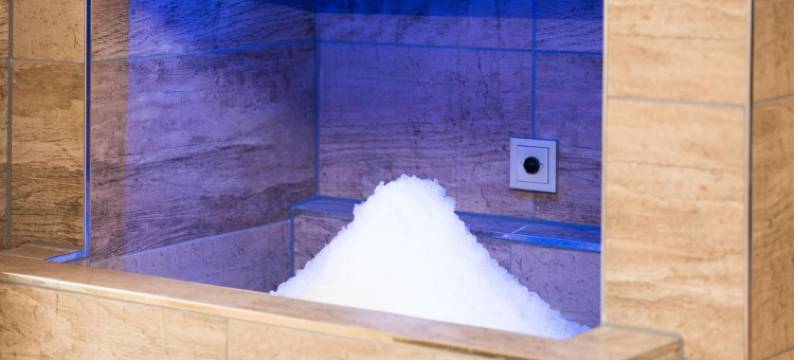 阿德勒酒店(Hotel Adler - Paulas Alb)图片