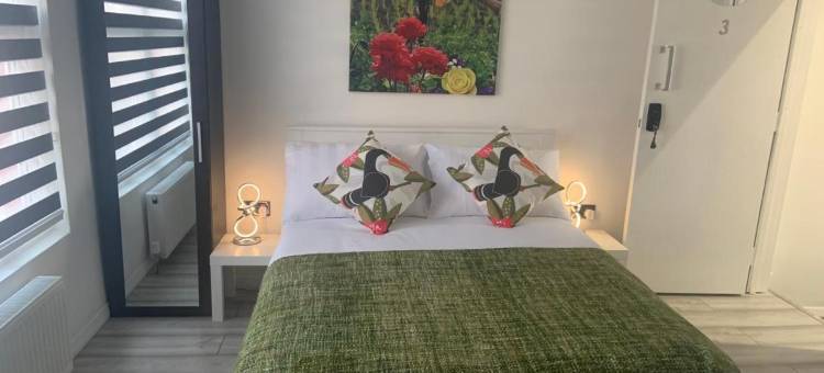 Bloomsbury House - Modern Studios Near Anfield图片