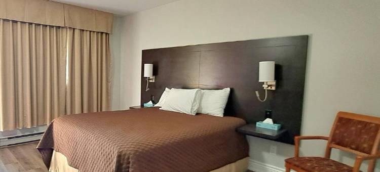 雪松汽车旅馆(Cedar Lodge Motel)图片