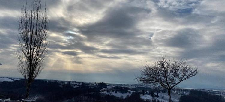 SIBON杰鲁塞冷葡萄酒和水疗度假村(Sibon Wine & Spa Resort Jeruzalem)图片