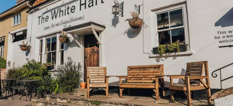 南哈丁白鹿旅馆(The White Hart, South Harting)图片