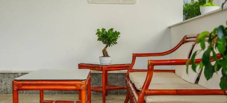 B&B le Canapine图片