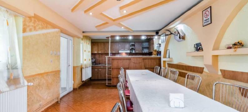 Pensiunea Gaby图片