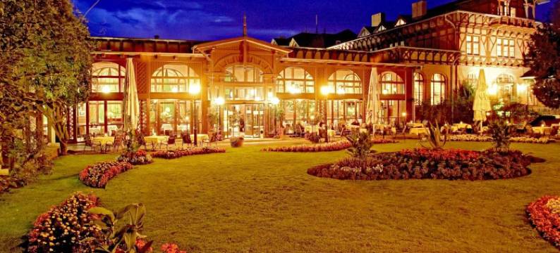 马格德堡多林特黑勒克鲁阁公园酒店(Dorint Herrenkrug Parkhotel Magdeburg)图片