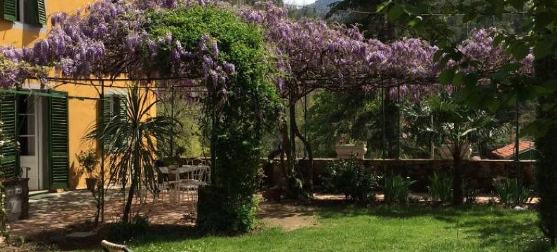 卢凯西别墅旅馆(Villa Lucchesi)图片